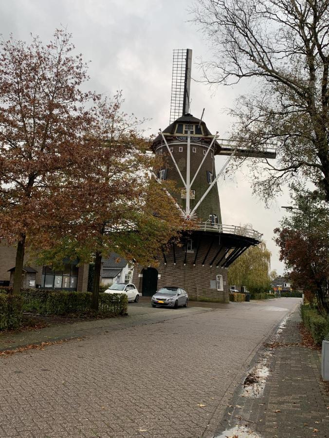 At Marries Panzió Wilp Kültér fotó